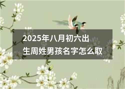 2025年八月初六出生周姓男孩名字怎么取