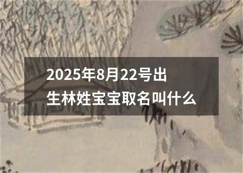 2025年8月22号出生林姓宝宝取名叫什么