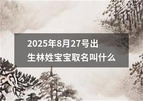 2025年8月27号出生林姓宝宝取名叫什么