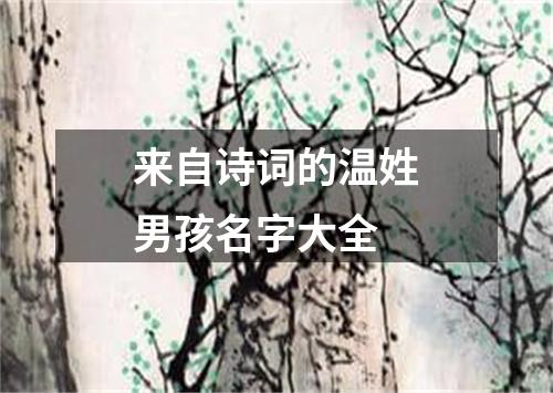 来自诗词的温姓男孩名字大全