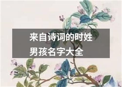 来自诗词的时姓男孩名字大全