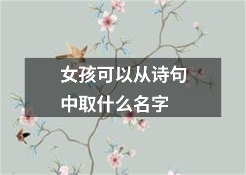 女孩可以从诗句中取什么名字