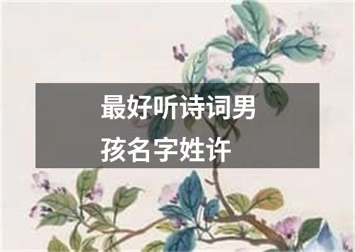 最好听诗词男孩名字姓许