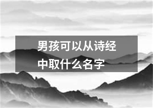 男孩可以从诗经中取什么名字