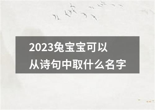 2023兔宝宝可以从诗句中取什么名字