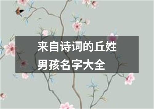 来自诗词的丘姓男孩名字大全