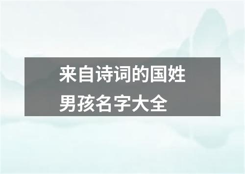 来自诗词的国姓男孩名字大全