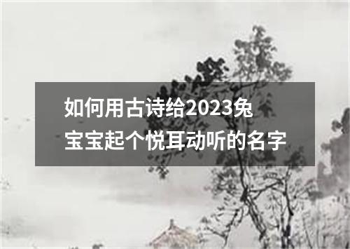 如何用古诗给2023兔宝宝起个悦耳动听的名字