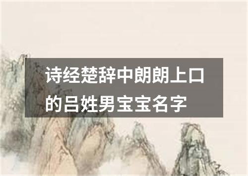 诗经楚辞中朗朗上口的吕姓男宝宝名字