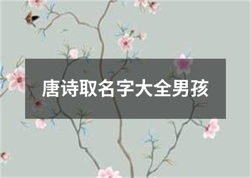 唐诗取名字大全男孩