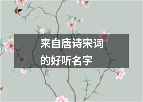 来自唐诗宋词的好听名字