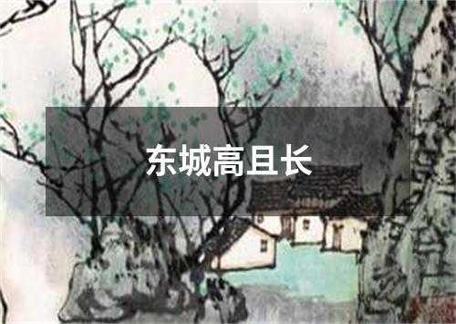 东城高且长