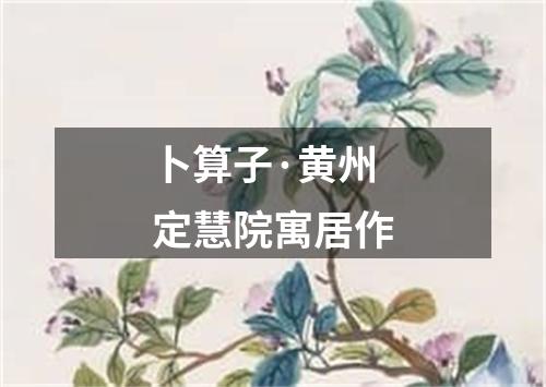 卜算子·黄州定慧院寓居作