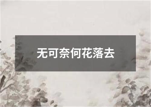 无可奈何花落去