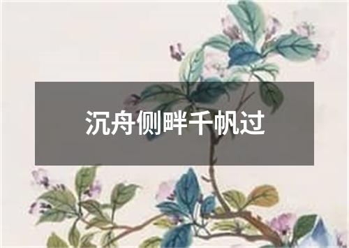 沉舟侧畔千帆过