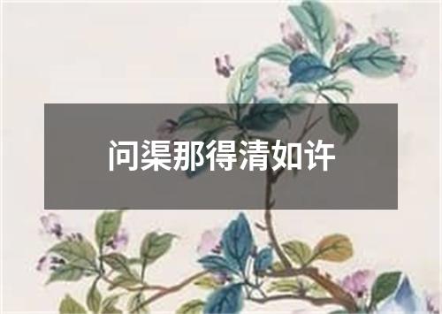 问渠那得清如许