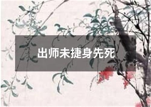 出师未捷身先死