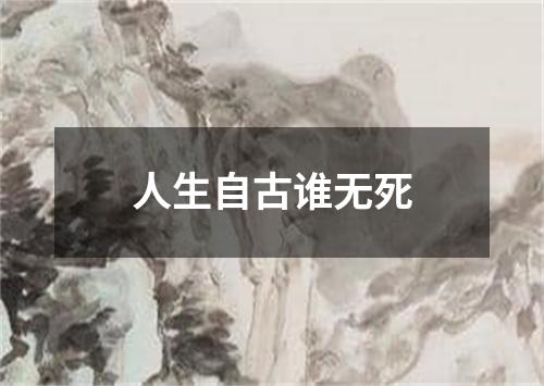 人生自古谁无死