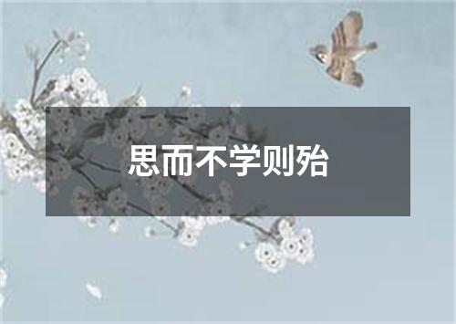 思而不学则殆