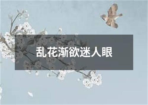 乱花渐欲迷人眼