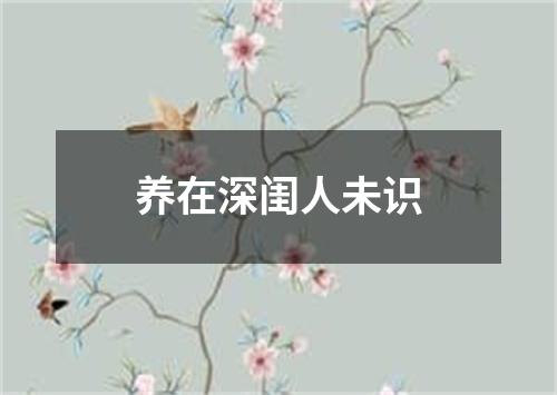 养在深闺人未识