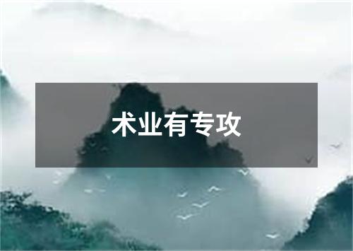 术业有专攻