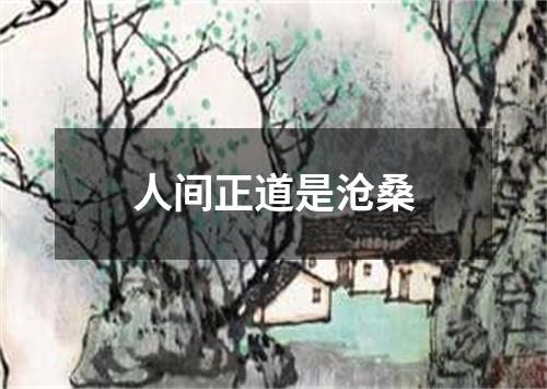 人间正道是沧桑