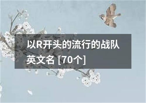 以R开头的流行的战队英文名 [70个]