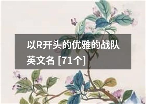 以R开头的优雅的战队英文名 [71个]