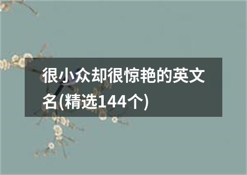 很小众却很惊艳的英文名(精选144个)