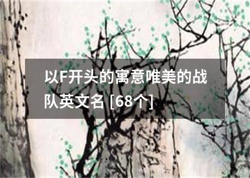 以F开头的寓意唯美的战队英文名 [68个]