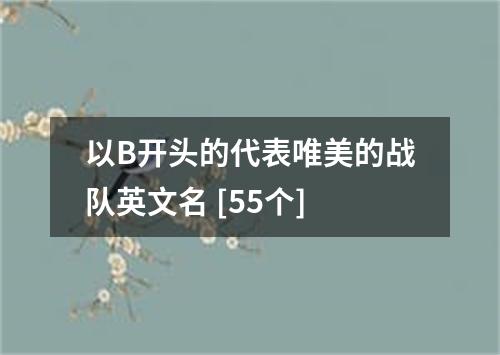 以B开头的代表唯美的战队英文名 [55个]