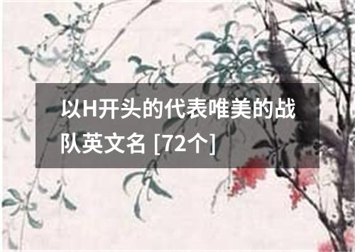 以H开头的代表唯美的战队英文名 [72个]