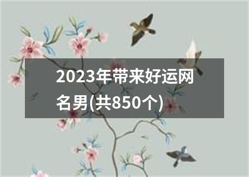 2023年带来好运网名男(共850个)