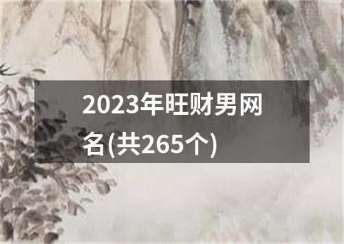 2023年旺财男网名(共265个)