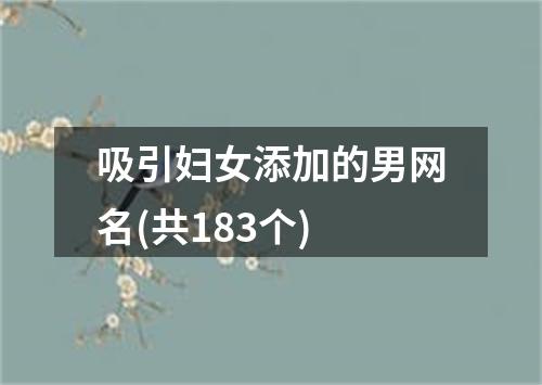 吸引妇女添加的男网名(共183个)