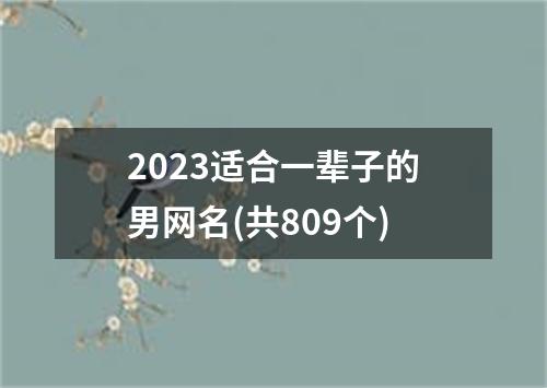 2023适合一辈子的男网名(共809个)