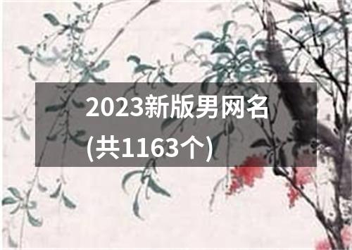 2023新版男网名(共1163个)