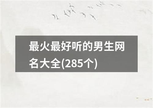 最火最好听的男生网名大全(285个)