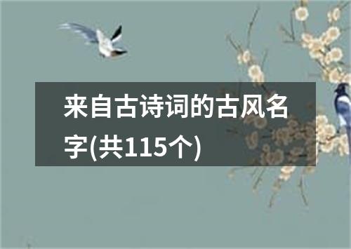 来自古诗词的古风名字(共115个)