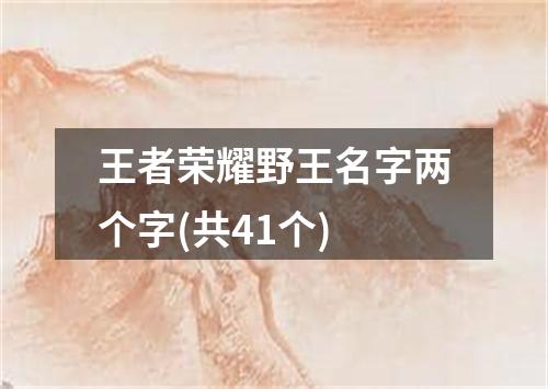 王者荣耀野王名字两个字(共41个)