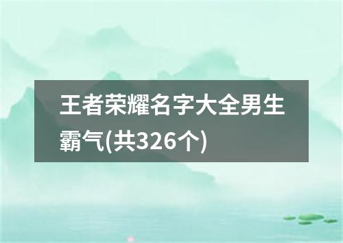 王者荣耀名字大全男生霸气(共326个)