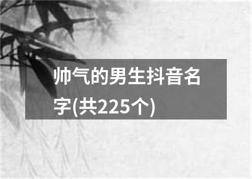 帅气的男生抖音名字(共225个)