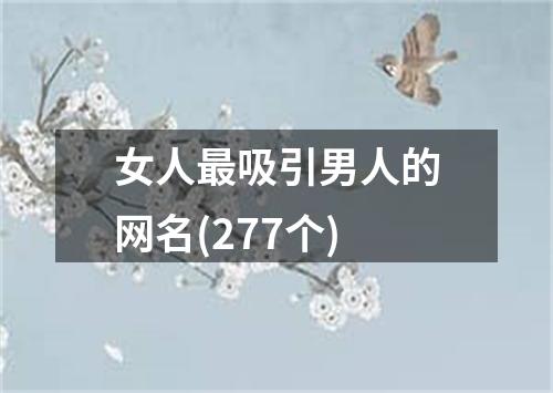 女人最吸引男人的网名(277个)