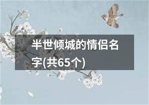 半世倾城的情侣名字(共65个)