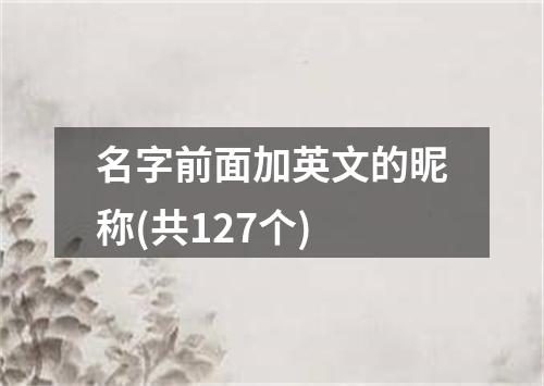 名字前面加英文的昵称(共127个)