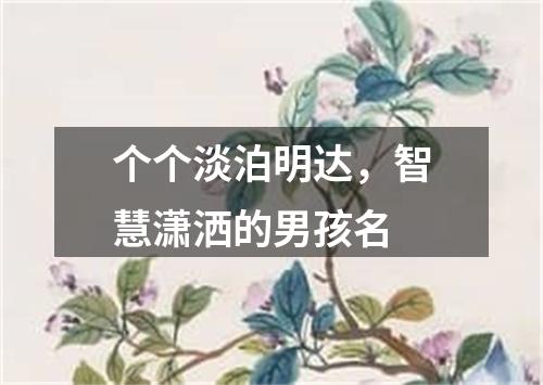 个个淡泊明达，智慧潇洒的男孩名