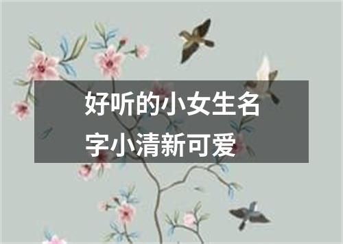 好听的小女生名字小清新可爱