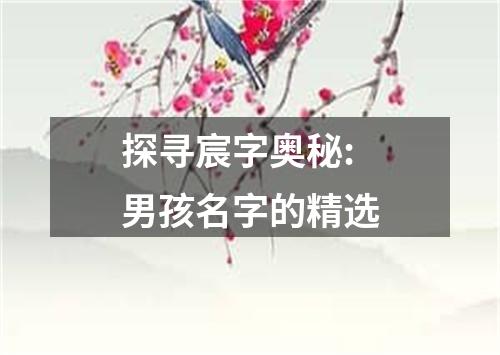 探寻宸字奥秘:男孩名字的精选