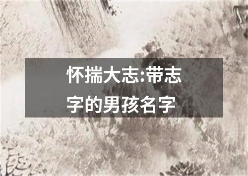 怀揣大志:带志字的男孩名字